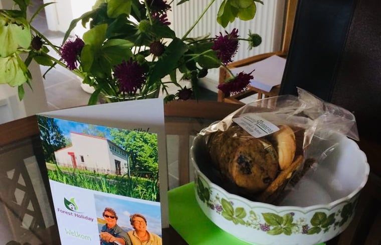 Unterkunft 290706 - Ferienhaus Achterhoek - Huisje in Halle