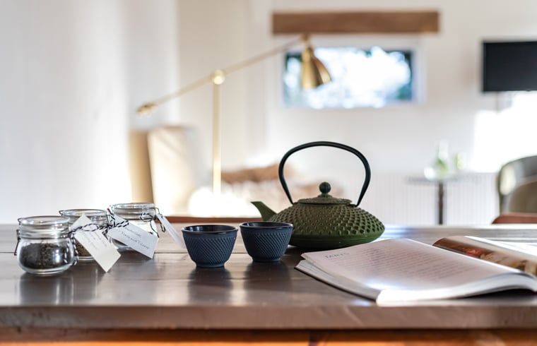 Guest house 290708 - Holiday property Achterhoek - Huisje in Halle