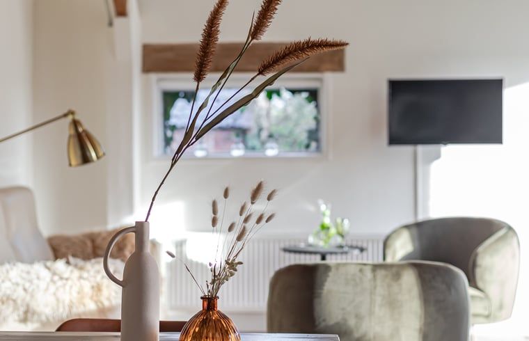 Guest house 290708 - Holiday property Achterhoek - Huisje in Halle