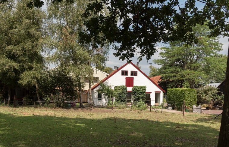 Guest house 290708 - Holiday property Achterhoek - Huisje in Halle