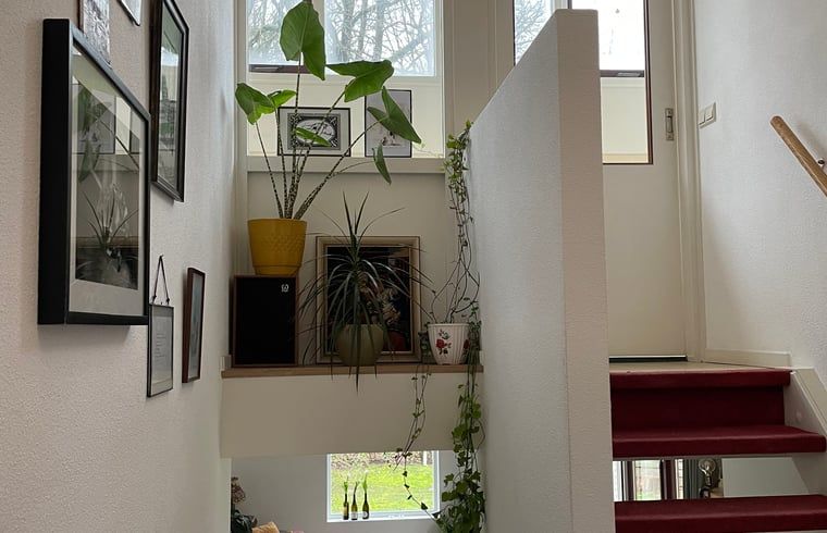 Guest house 290711 - Holiday property Achterhoek - Huisje in Halle