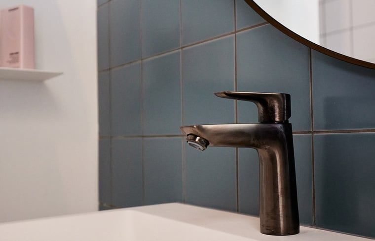 Stijlvolle wastafel in Vakantiehuis in Halle, Achterhoek, Gelderland badkamer.