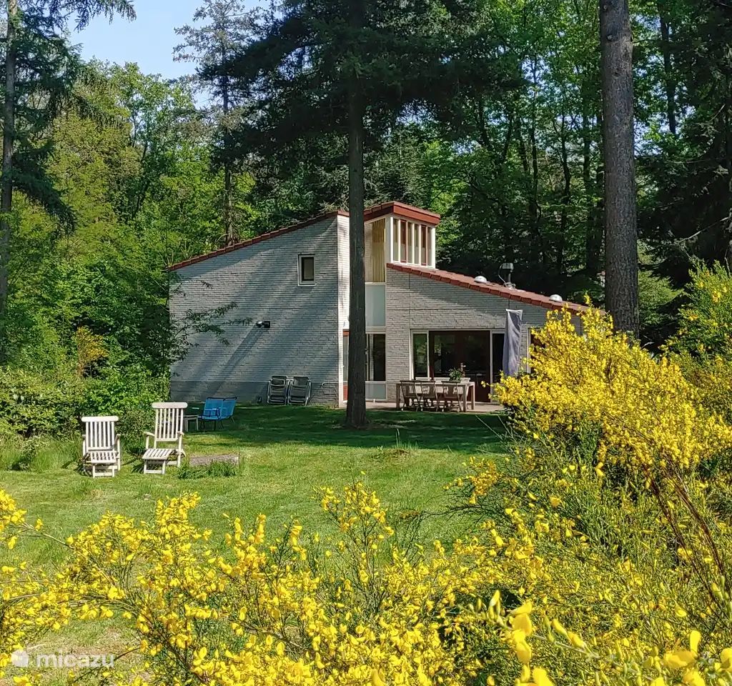 Unterkunft 290720 - Ferienhaus Achterhoek - Bosvilla Digitalis