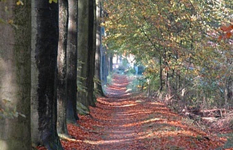 Guest house 290807 - Holiday property Achterhoek - Vakantiehuis in Borculo