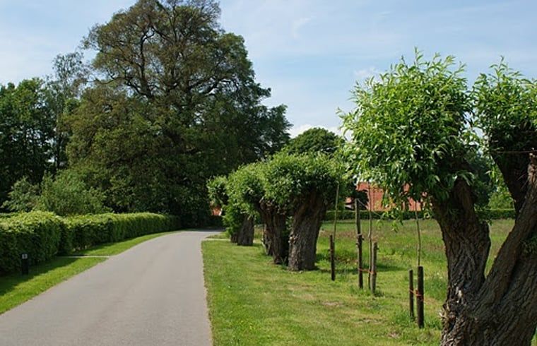 Guest house 290807 - Holiday property Achterhoek - Vakantiehuis in Borculo