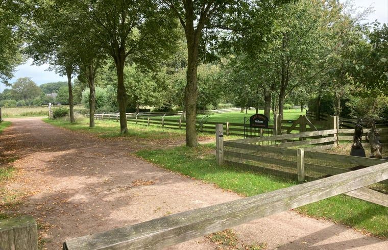 Unterkunft 291054 - Ferienhaus Achterhoek - Vakantiehuis in Zelhem
