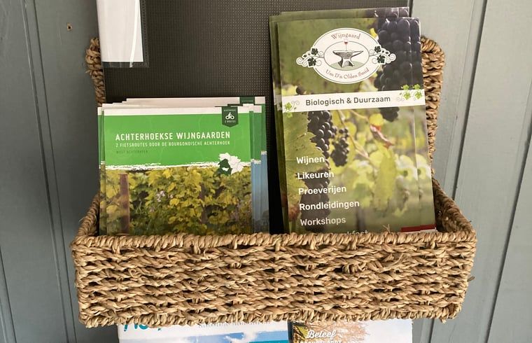 Unterkunft 291054 - Ferienhaus Achterhoek - Vakantiehuis in Zelhem