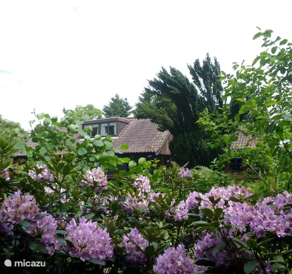 Verblijf 291065 - Vakantiewoning Achterhoek - Baaksekamp