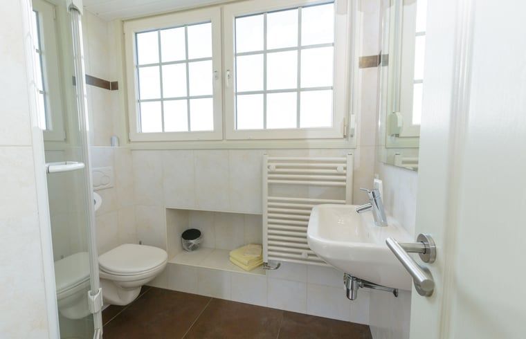 Moderne badkamer in Vakantiehuis in Zelhem met douche en toilet, Achterhoek, Gelderland.