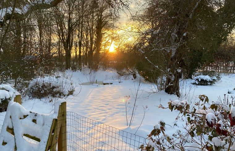 Unterkunft 291074 - Ferienhaus Achterhoek - Vakantiehuis in Zelhem