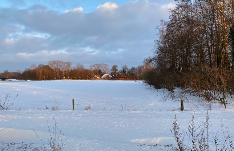 Unterkunft 291074 - Ferienhaus Achterhoek - Vakantiehuis in Zelhem