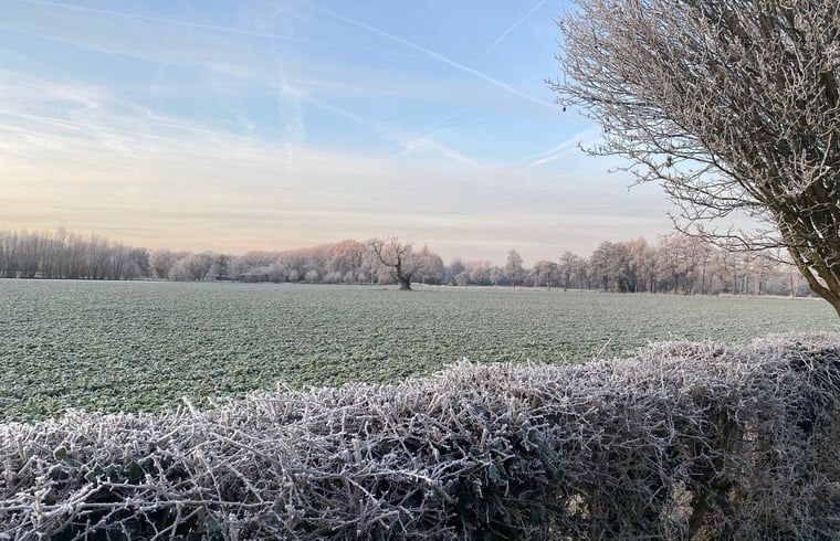 Unterkunft 291074 - Ferienhaus Achterhoek - Vakantiehuis in Zelhem