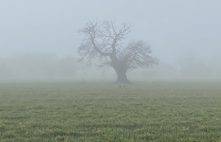 Unterkunft 291074 - Ferienhaus Achterhoek - Vakantiehuis in Zelhem