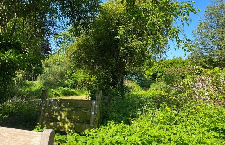 Unterkunft 291074 - Ferienhaus Achterhoek - Vakantiehuis in Zelhem