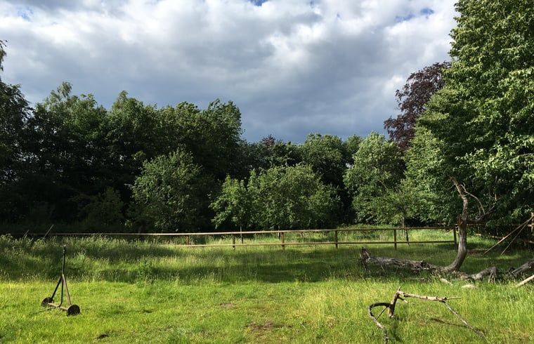 Unterkunft 291074 - Ferienhaus Achterhoek - Vakantiehuis in Zelhem