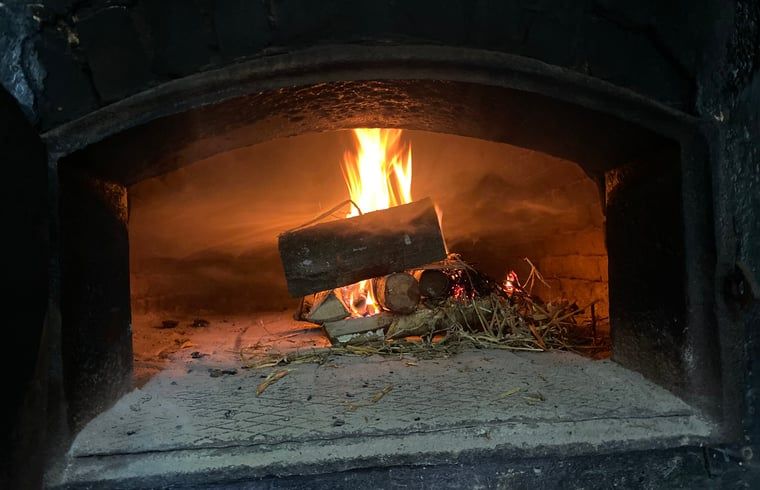 Unterkunft 291074 - Ferienhaus Achterhoek - Vakantiehuis in Zelhem