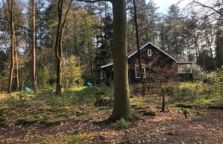 Guest house 291105 - Holiday property Achterhoek - Vakantiehuisje in Epse