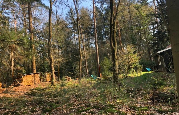 Guest house 291105 - Holiday property Achterhoek - Vakantiehuisje in Epse