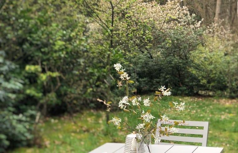 Guest house 291105 - Holiday property Achterhoek - Vakantiehuisje in Epse