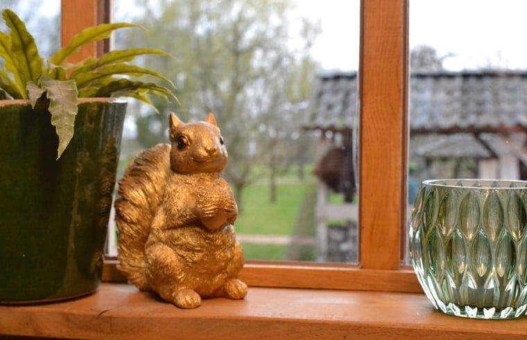 Gezellige vensterbank in Vakantiehuisje in Ruurlo, Achterhoek met uitzicht op de groene omgeving van Gelderland.