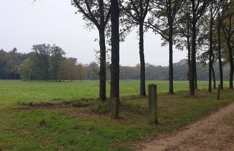 Open fields near Holiday cottage in Westendorp, enjoy the scenery in Achterhoek, Gelderland.