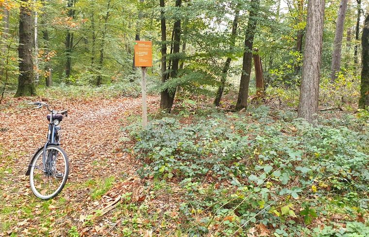 Cycling route through the forest at Holiday Home in Westendorp, adventure in the Achterhoek, Gelderland.