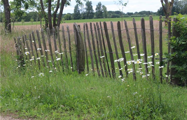 Picturesque surroundings of Huisje in Westendorp, bed and breakfast in the Achterhoek, with wildflowers and a wooden fence.