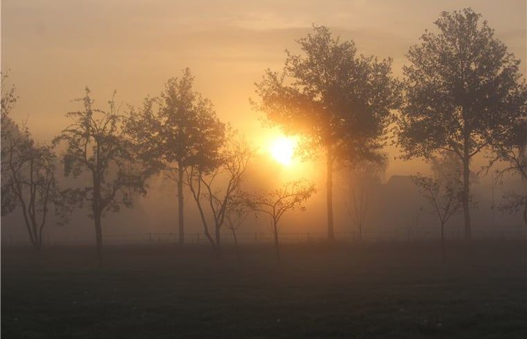 Breathtaking sunrise at Huisje in Westendorp, bed and breakfast in Gelderland, with trees in a misty morning.