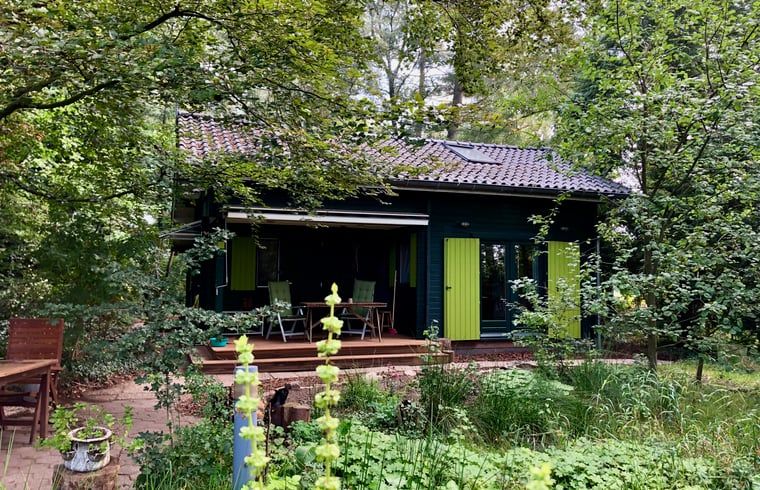 Unterkunft 291405 - Ferienhaus Achterhoek - Vakantiehuisje in Varsseveld