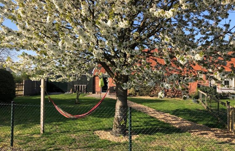 Guest house 291406 - Holiday property Achterhoek - Vakantiehuis in Varsseveld