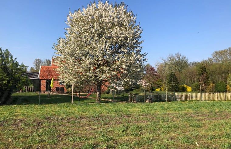 Guest house 291406 - Holiday property Achterhoek - Vakantiehuis in Varsseveld