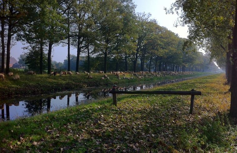 Guest house 291406 - Holiday property Achterhoek - Vakantiehuis in Varsseveld