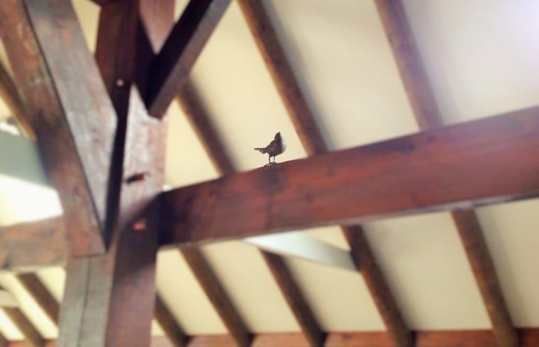 Unterkunft 291506 - Ferienhaus Achterhoek - Vakantiehuis in Eefde