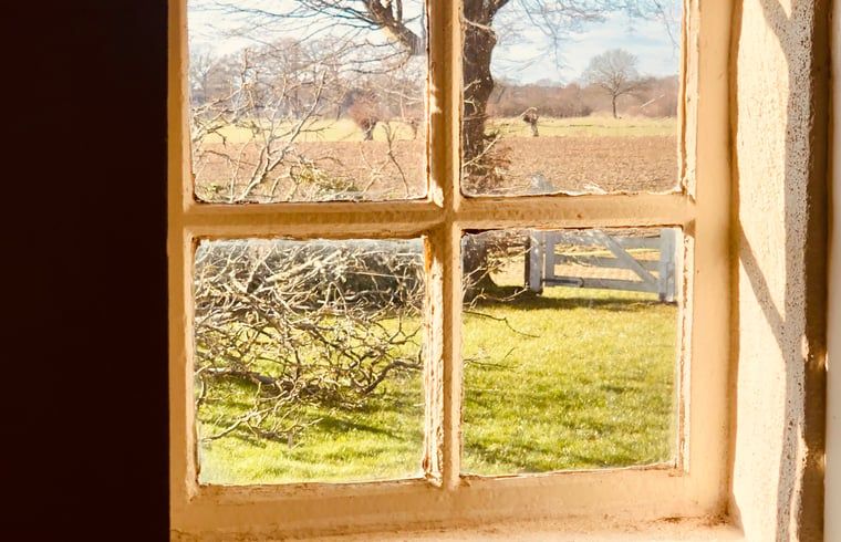 Unterkunft 291506 - Ferienhaus Achterhoek - Vakantiehuis in Eefde