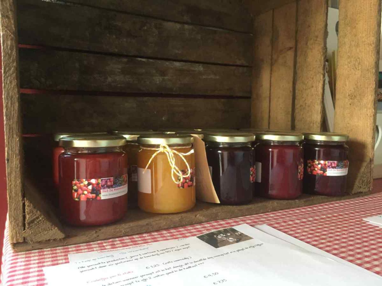 Trampoline in de tuin van DG471 vakantiehuis in Aalten, Achterhoek, voor plezier en ontspanning.