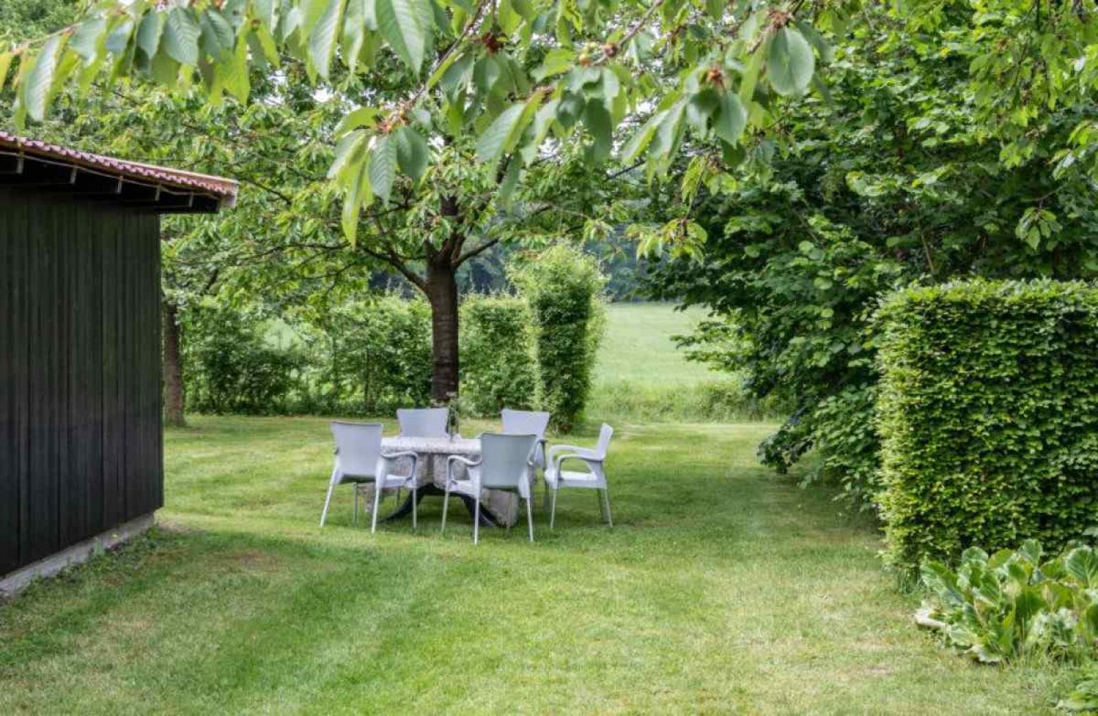 Guest house 291730 - Holiday property Achterhoek - DG695