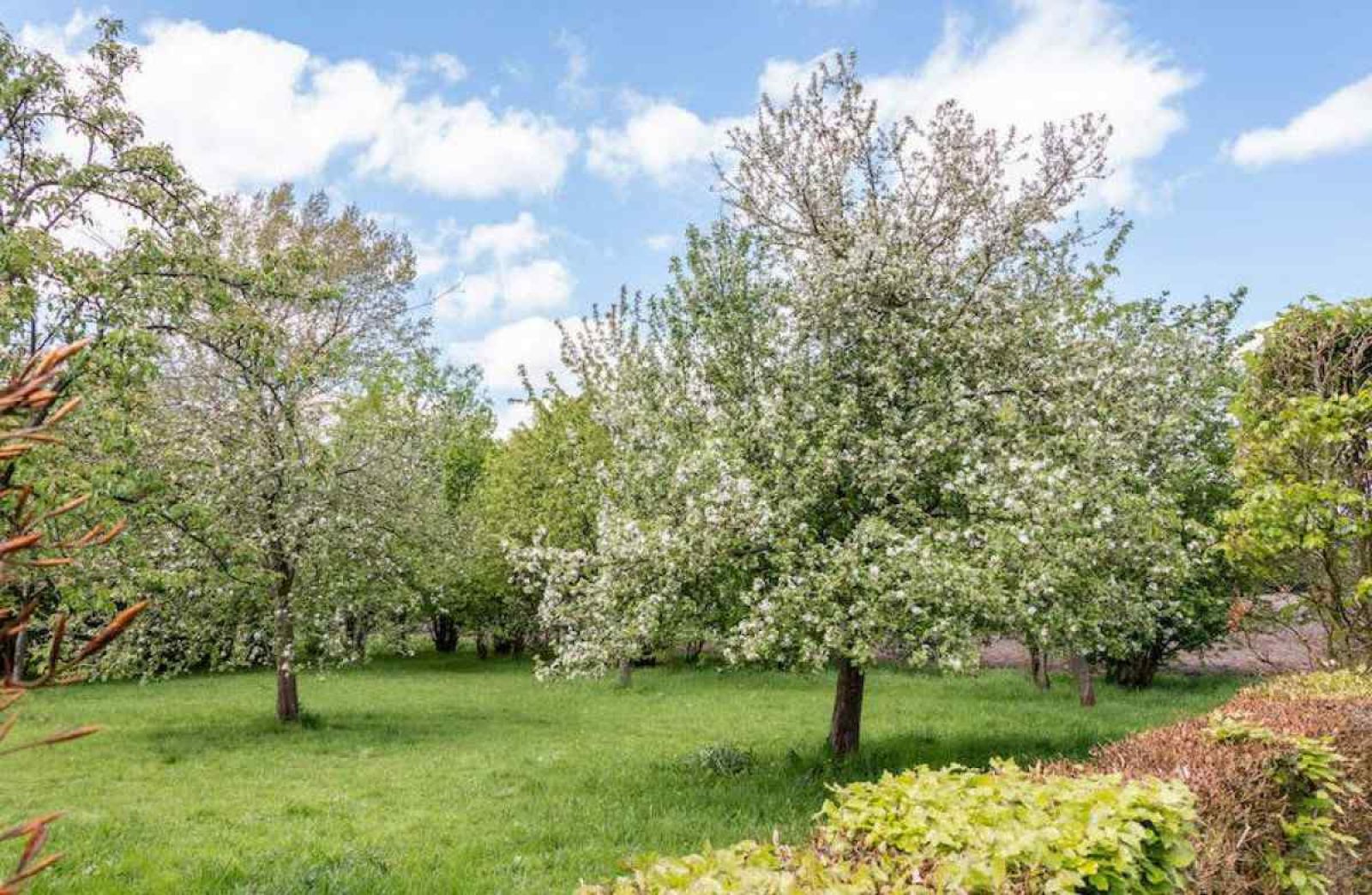 Schlafzimmer mit Holzbalken im Ferienhaus DG694, Aalten, Gelderland.