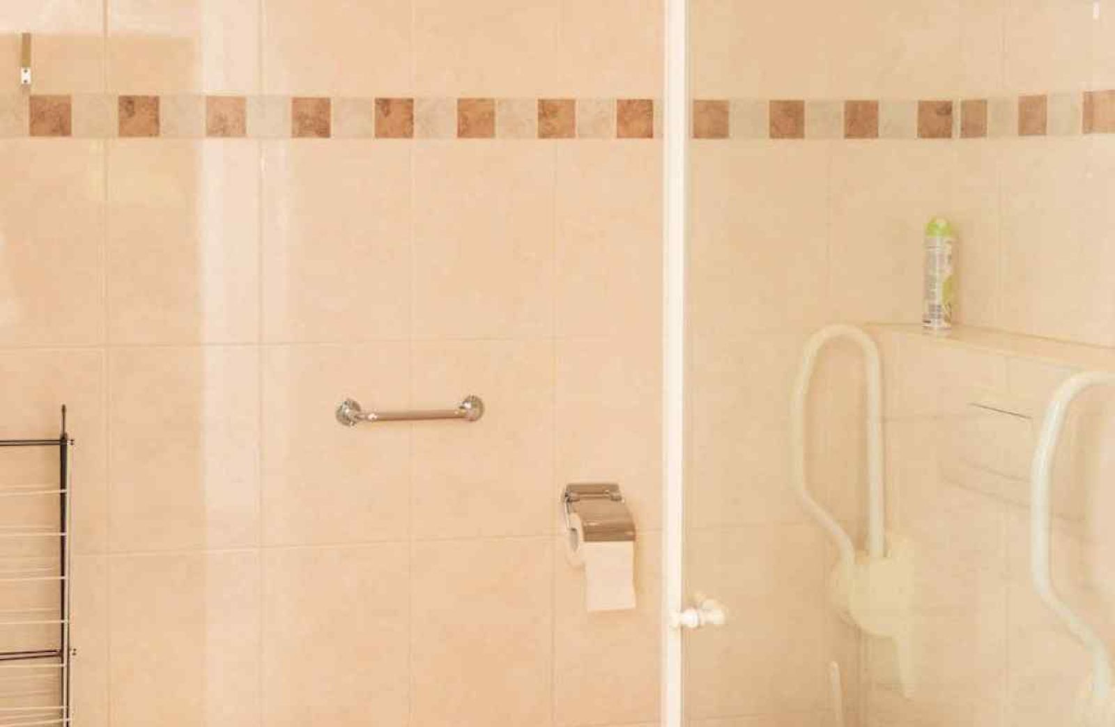 Weidende Kuehe auf der Wiese beim Ferienhaus DG694, Aalten, Achterhoek.