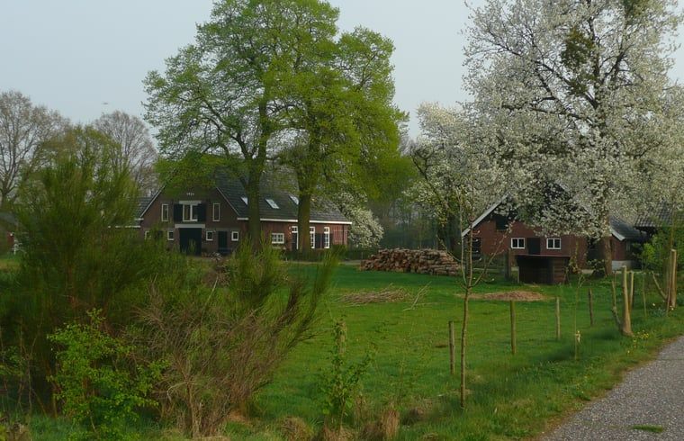 Vakantiehuis in Aalten, gelegen in de groene natuur van de Achterhoek, Gelderland, omgeven door bloeiende bomen en rustieke landschappen.