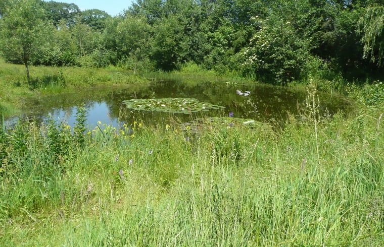 Verblijf 291742 - Vakantiewoning Achterhoek - Vakantiehuis in Aalten