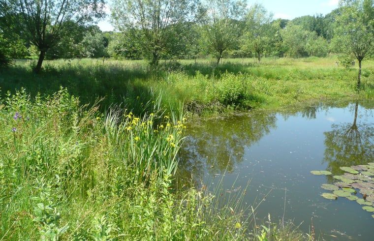 Verblijf 291742 - Vakantiewoning Achterhoek - Vakantiehuis in Aalten