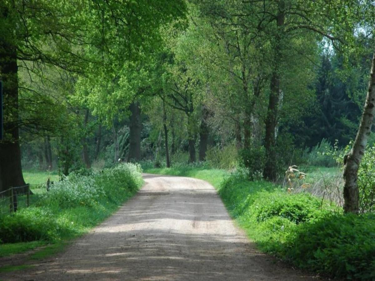 Unterkunft 291745 - Ferienhaus Achterhoek - Huus in t Hagt