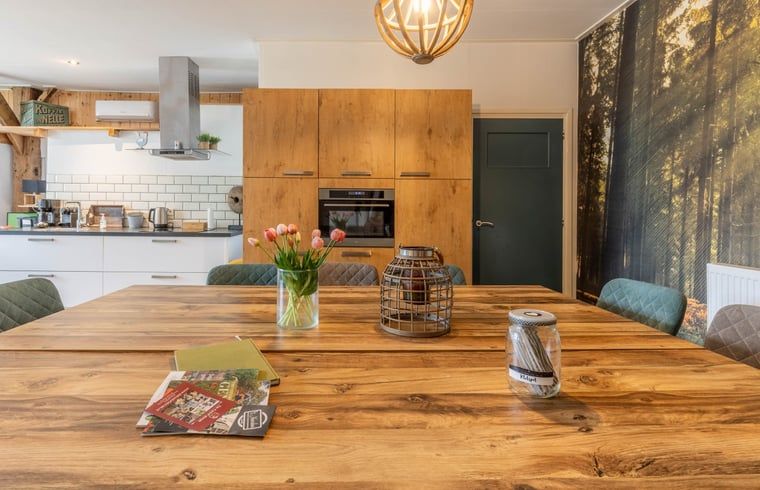 Stijlvolle eetkamer in Huisje in Aalten, vakantiehuis in de Achterhoek, met houten tafel en sfeervolle decoratie.