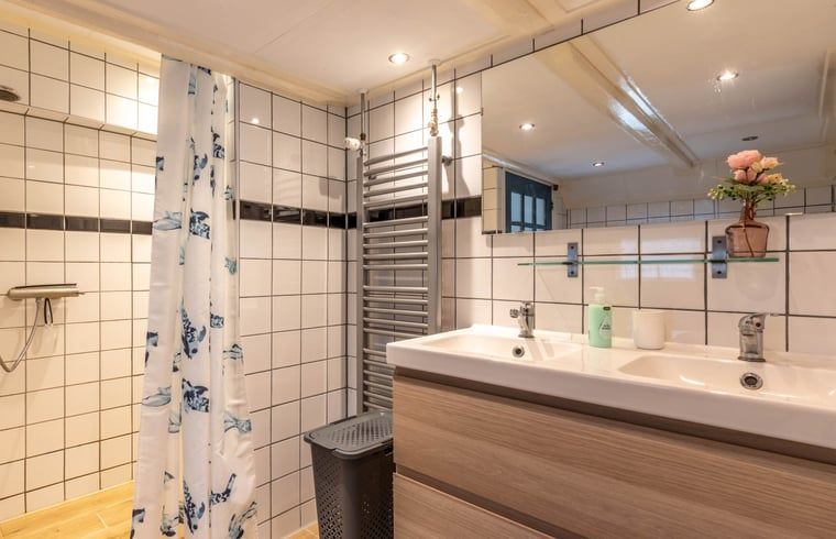 Moderne badkamer in Huisje in Aalten, vakantiehuis in de Achterhoek, met ruime douche en dubbele wastafel.