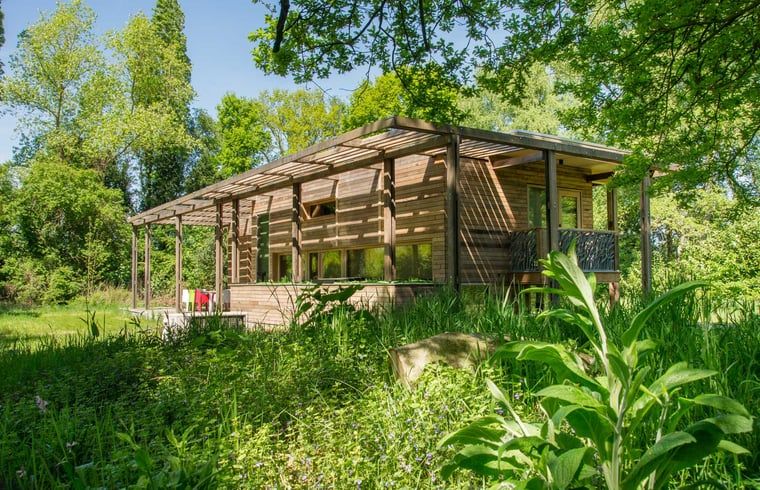 Huisje in Aalten, een charmant vakantiehuis in de groene natuur van Aalten, Achterhoek, Gelderland, met een uitnodigend terras.