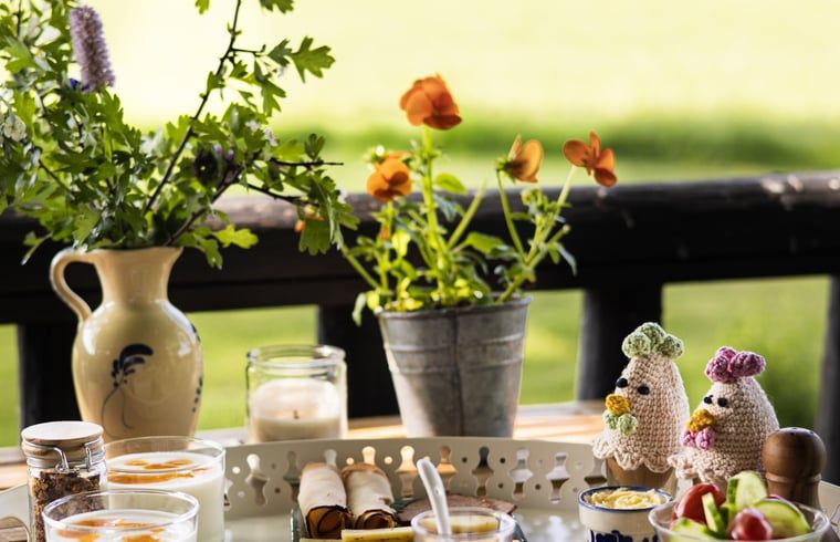 Unterkunft 291815 - Ferienhaus Achterhoek - Huisje in Laren