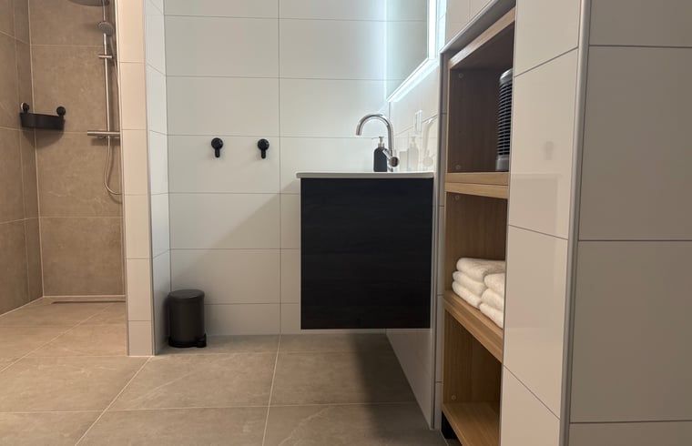 Moderne badkamer in Huisje in Laren, vakantieaccommodatie in Gelderland met luxe voorzieningen.