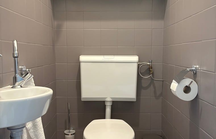 Netjes ingerichte toiletruimte in Huisje in Laren, vakantiehuis in de Achterhoek.