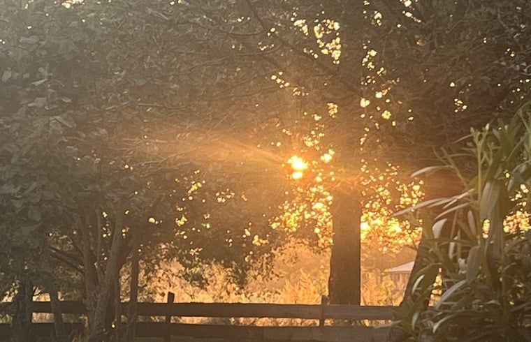 Unterkunft 291828 - Ferienhaus Achterhoek - Huisje in Laren (gld)