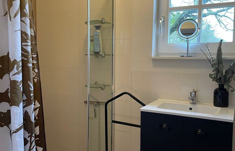 Modern bathroom in Holiday Home in Laren, Achterhoek, Gelderland with shower and sink, perfect for a comfortable stay.